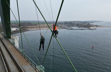 Zwei Arbeiter mit Helm und Schutzausrüstung hängen an den Tragseilen der Fehmarnsundbrücke