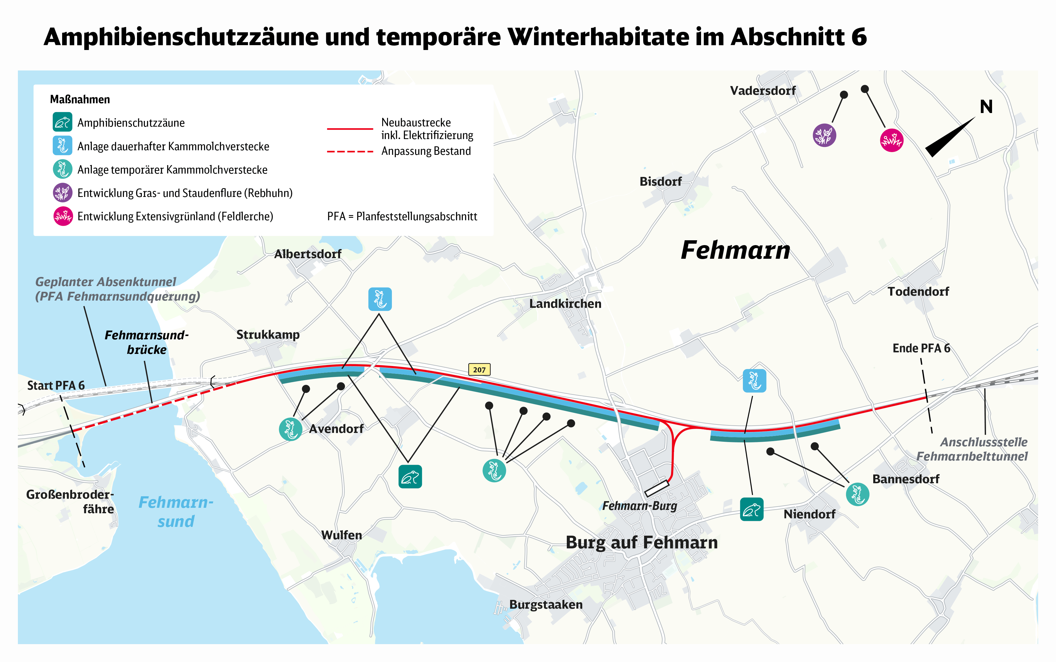 Karte mit Amphibienschutzzäunen und temporären Winterhabitaten im Abschnitt 6